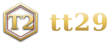 tt29 logo